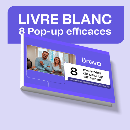 Vignette page dindexation -  8 pop up efficaces