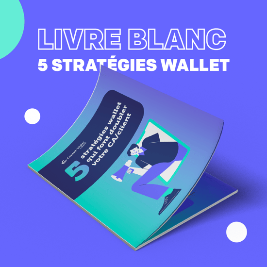 Vignette page dindexation - 5 stratégies wallet