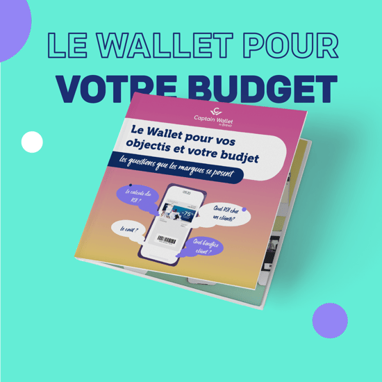 Vignettes - le wallet pour votre budget