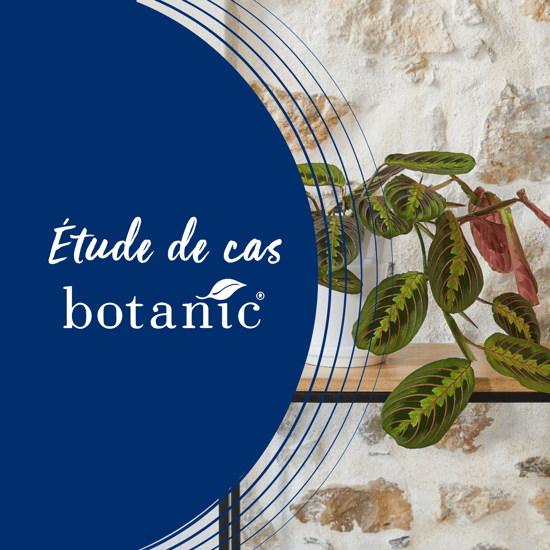 Vignettes use case botanic page dindexationPlan de travail 1_19