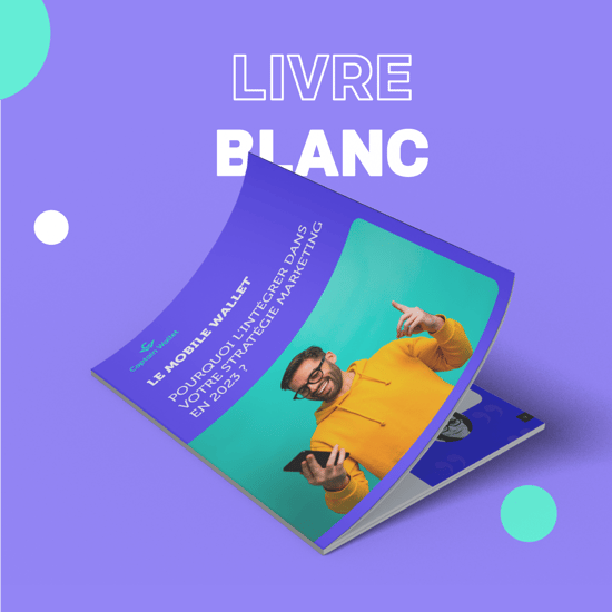 vignette livre blanc &Plan de travail 1_8